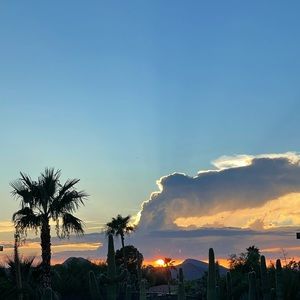 Meet your Posher, Janna